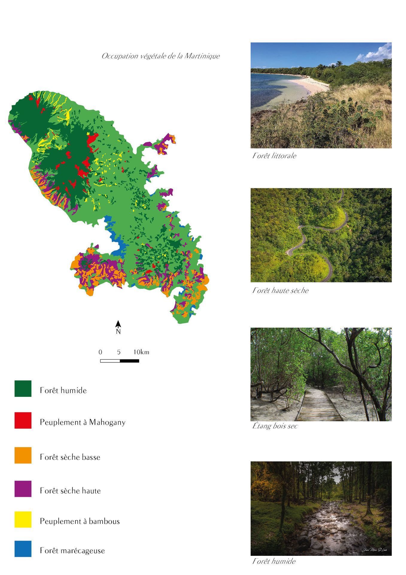 Occupation végétale de la Martinique — forêt humide, forêt sèche, mangrove