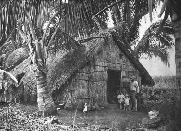 Case créole traditionnelle en Martinique